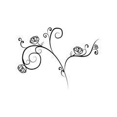 decorative flowers, hand draw illustration