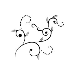decorative flowers, hand draw illustration