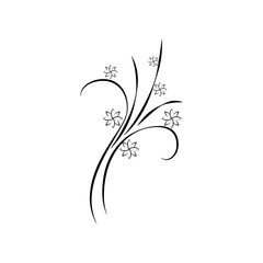decorative flowers, hand draw illustration