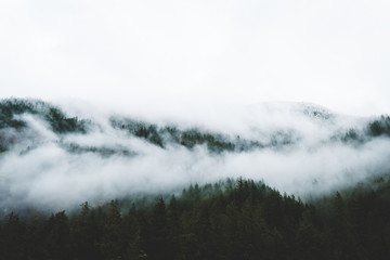 Fog spilling over a mountainside covered in trees