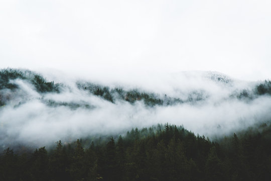 Fog spilling over a mountainside covered in trees