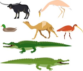 Tropical animals and birds set, vector illustration