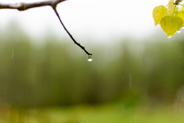Raindrop