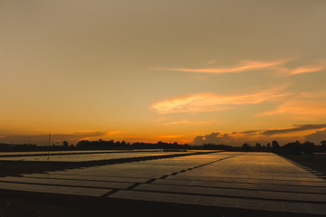 Solar Power Plant with Orange Sunset in the evening, silhouette