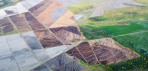 Green and brown agricultural fields