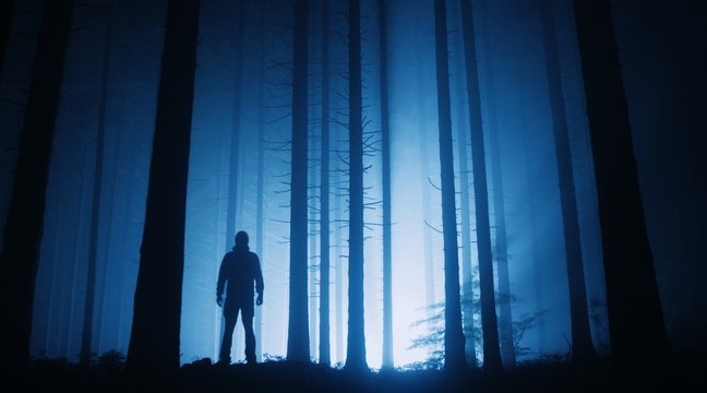 Silhouette of person in misty forest