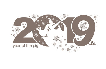 Year of the Pig 2019. Cute piggy smiles at the snowflakes. Vector template New Year's design on the Chinese calendar. 