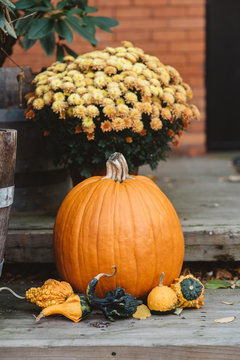 Festive pumpkins