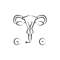 Female organs, uterus, medical hand drawn icon. One of the women health icons for websites, web design, mobile app
