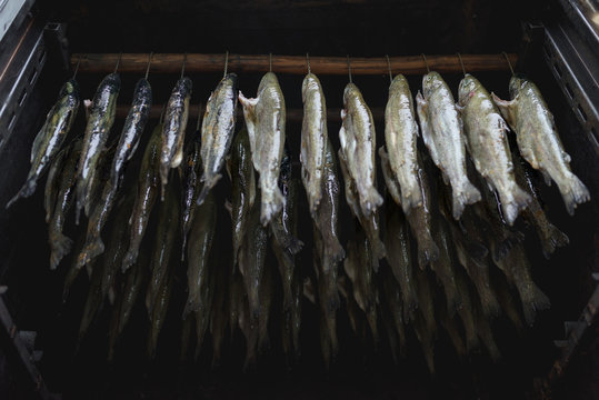 Low angle view of trout fish smoking in large oven