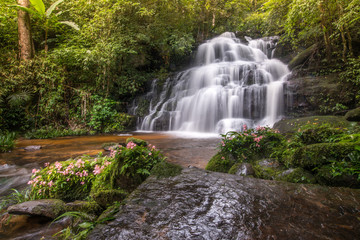 The beautiful landscape of Mun Daeng waterfalls in rainforest of Phu Hin Rong Kla national park, Phitsanulok province of Thailand. In August you can see the beautiful pink snapdragon flowers.