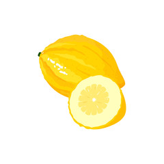 Cartoon fresh citron isolated on white background