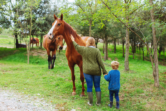 Mother and her son taking care of a horse.