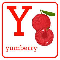 An alphabet with cute fruits, Letter Y yumberry