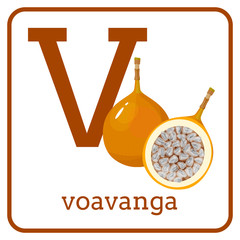 An alphabet with cute fruits, Letter V voavanga