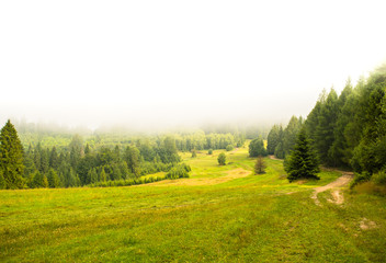 Dolina za mgłą Przełęcz Gromadzka