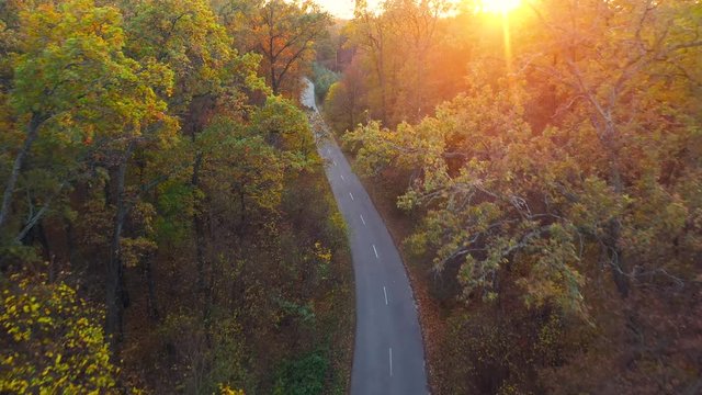 Aerial view on autumn forest road. Scenic autumn landscape