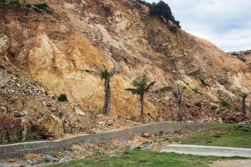 Low angle view of palm tree and mountain dirty trash
