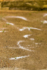 salt used as herbicide