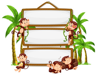 Fototapeta premium Monkey with signboard on white background