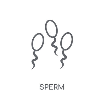 Sperm linear icon. Modern outline Sperm logo concept on white background from Health and Medical collection