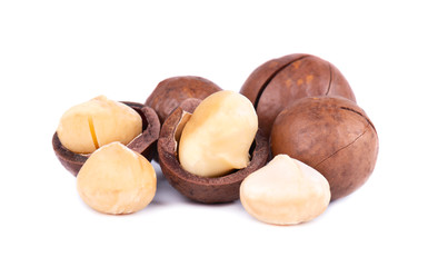 Macadamia nuts, isolated on white background. Shelled and unshelled macadamia.