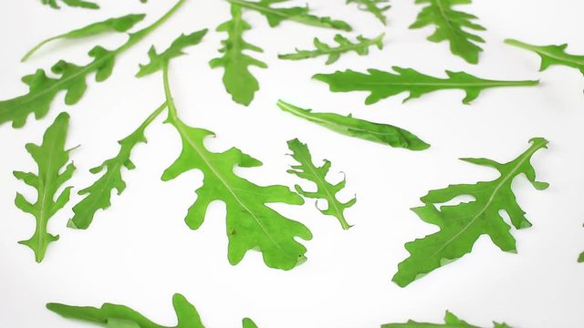 Eruca sativa gardet rocket Brassicaceae used as a leaf vegetable for its fresh peppery flavor. Ruccola rucola