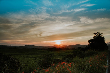 Obraz premium Una ventana hacia la naturaleza