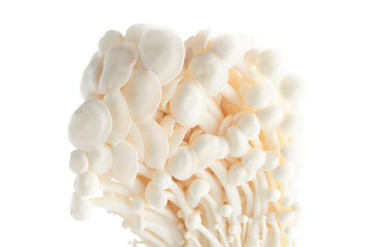 Enoki Mushrooms 
