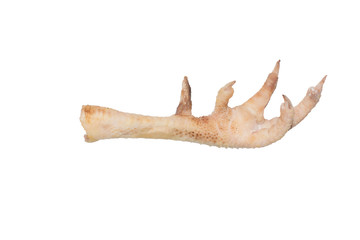 Chicken foot large isolated on white background for design