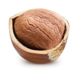 Hazelnut isolated Clipping Path
