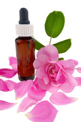 Rose essential oil in a dark glass bottle  and pink rose flower isolated on white background.Organic Natural Pure Oil