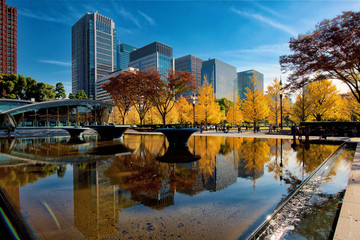 Marunouchi, Tokyo's Central Business District, in autumn
