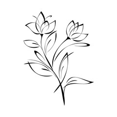 sprig with flower buds on the stem with leaves in black lines on a white background