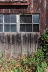 Side of an old wooden barn with a horizontal window of 12 panes of old glass and heavy black mesh screen. There are plants and grass growing in front of the barn. The barn siding is aged.