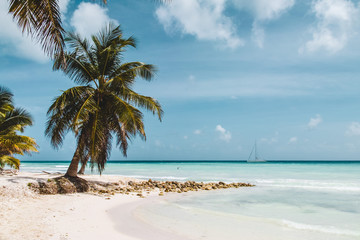 Fototapeta na wymiar Saona Island near Punta Cana, Dominican Republic