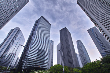 Fototapeta premium 都心ビル群