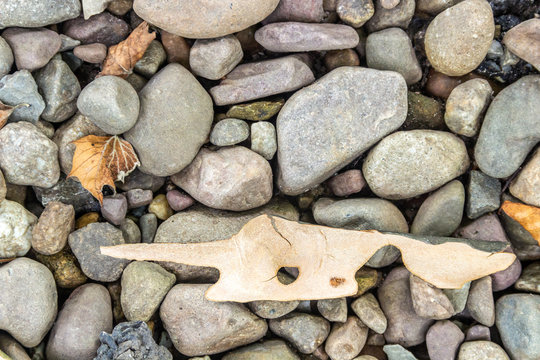A fish shaped wooden object sits on dry grey river rocks. A few golden colored rocks are scattered throughout the image.