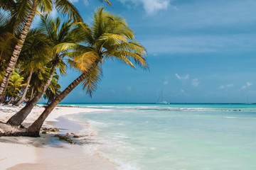 Obraz na płótnie Canvas Saona Island near Punta Cana, Dominican Republic