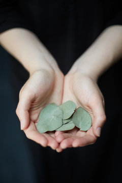 Girl holding leaves in hands