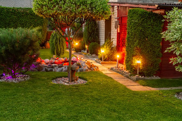 Garden illuminated by color lamps