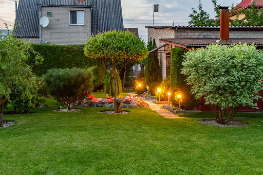 Garden illuminated by lamps in my yard