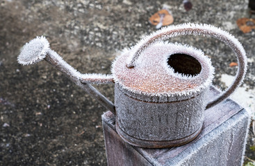 watering can with hoar frost