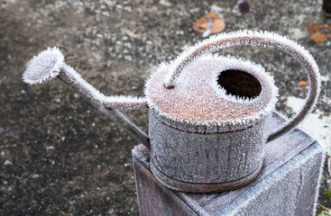 watering can with hoar frost © mscornelius