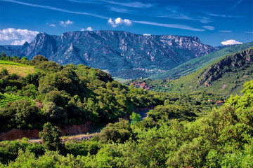 Vineyards and mountains in the Saint Chinian wine region of the Languedoc, south of France