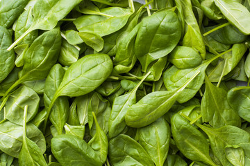 Background of fresh spinach leaves. Green grass texture