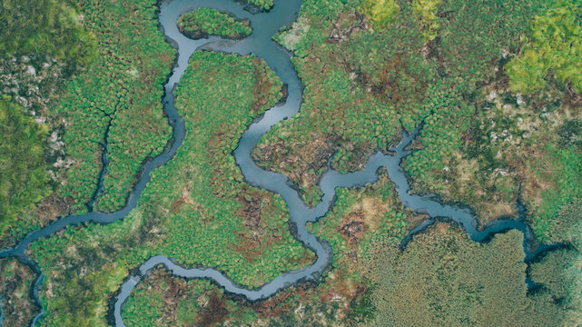 River aerial view
