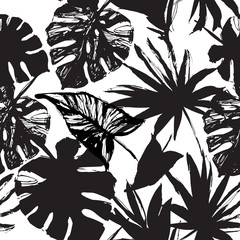 Vector tropic illustration in black and white colors