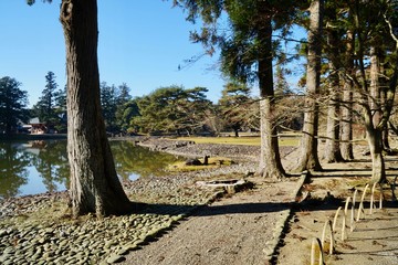 Obraz premium 毛越寺