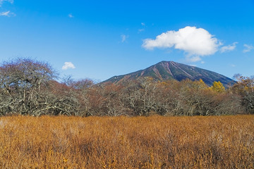 Obraz premium Senjogahara grasslands in autumn, Japan